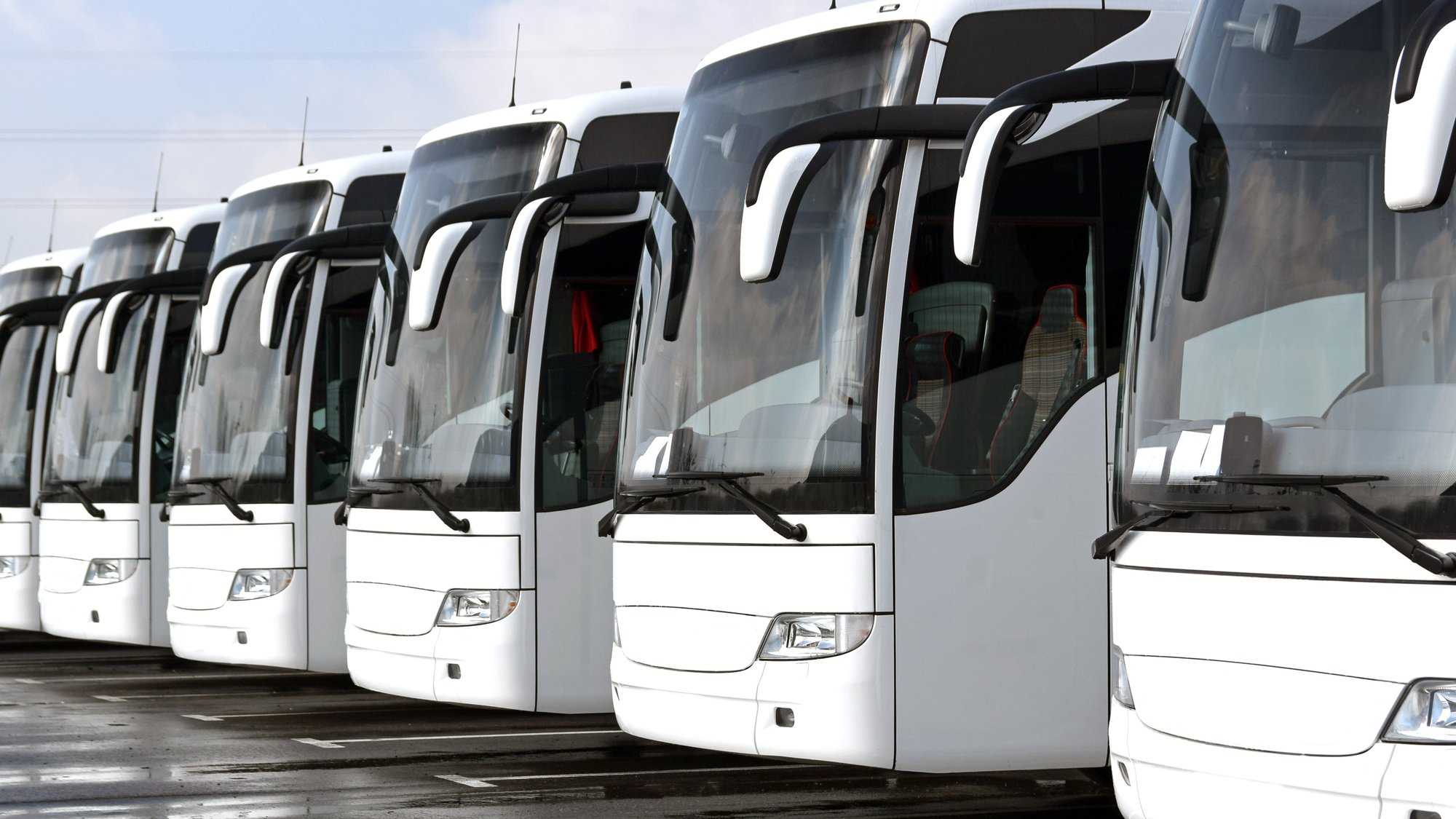 line of white Motor Coaches